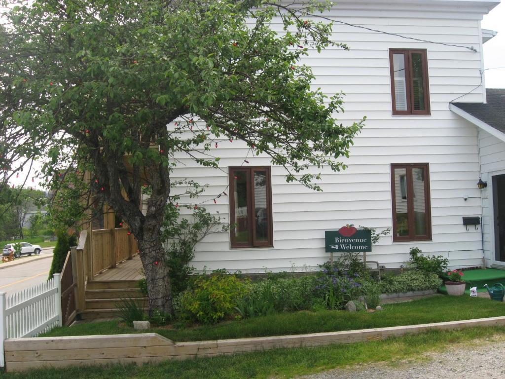 Gite Au Vieux Pommier Tadoussac Eksteriør billede