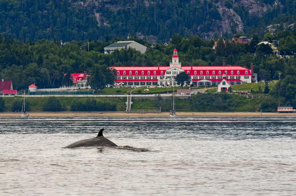 Gite Au Vieux Pommier Tadoussac Eksteriør billede
