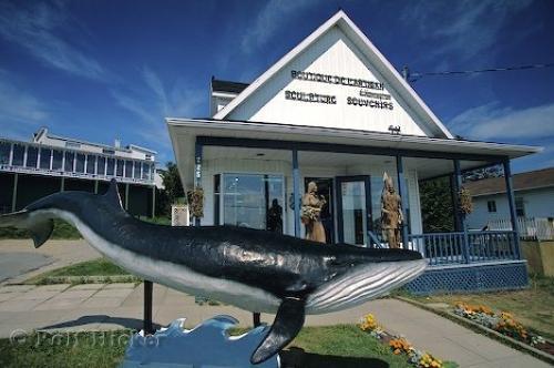 Gite Au Vieux Pommier Tadoussac Eksteriør billede